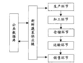 圖2 新鮮蔬菜供應鏈